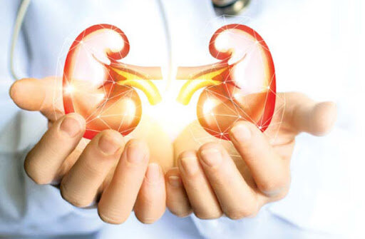 Всемирный день почки